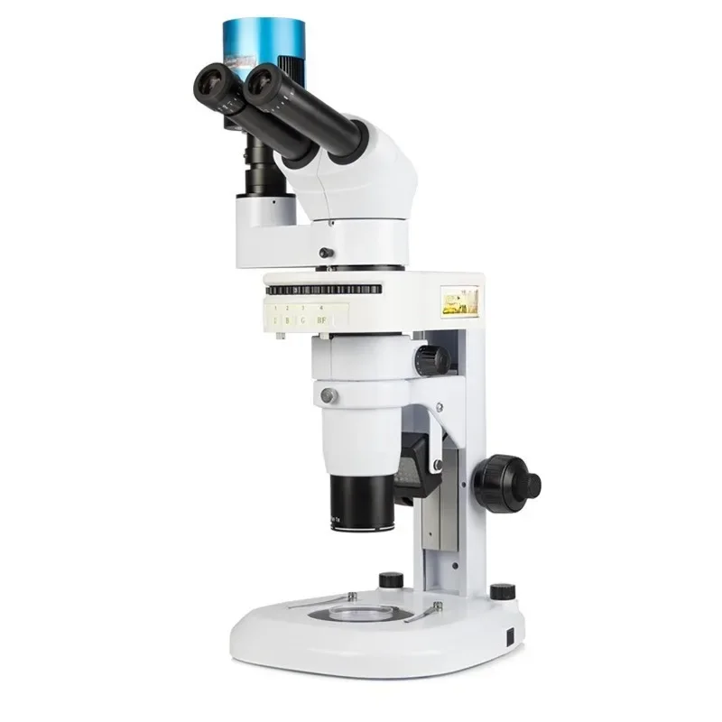 Medical Lab Observer - 蛍光顕微鏡 ゼブラフィッシュ 綿糸虫観察 生命科学 医療研究所