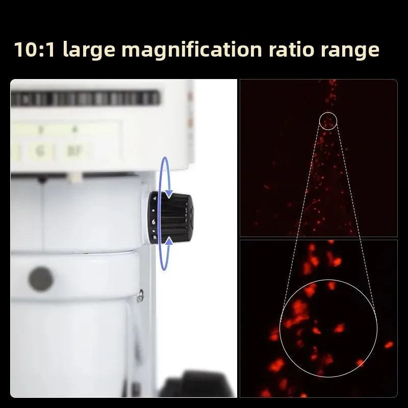 蛍光顕微鏡 ゼブラフィッシュ 綿糸虫観察 生命科学 医療研究 - Medical Lab Observer のレビューと価格